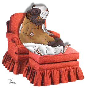 Zeichnung Meerschweinchen sitzt auf einer Chaise long