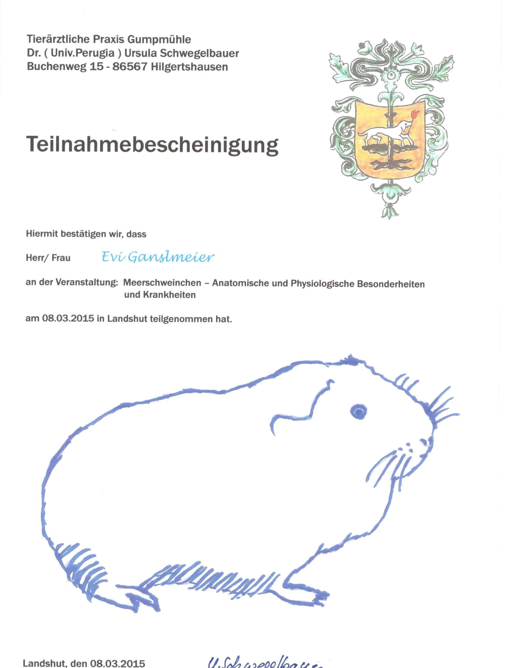 Urkunde Seminar Meerschweinchenkrankheiten