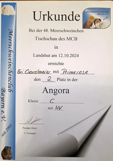 urkunde primerose platz2 kleiner