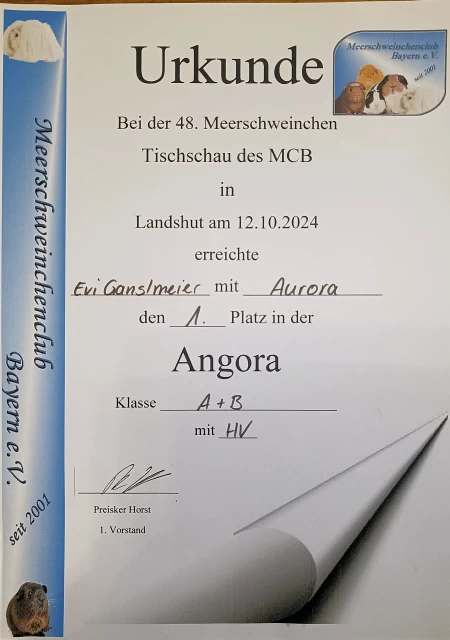 Urkunde Aurora Platz 1 Angora Klasse A und B