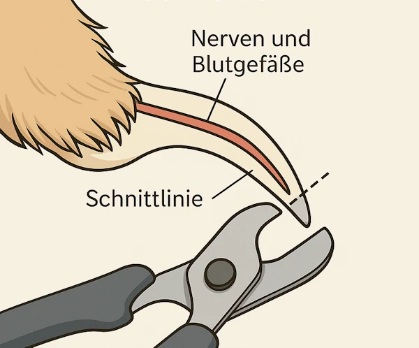 krallenschneiden_beispiel
